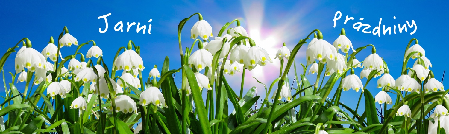 Základní škola sv. Voršily v Olomouci